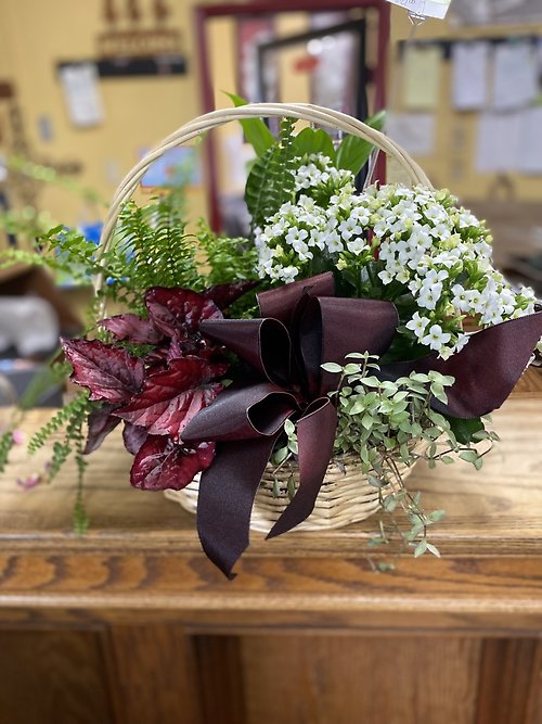 Basket Garden