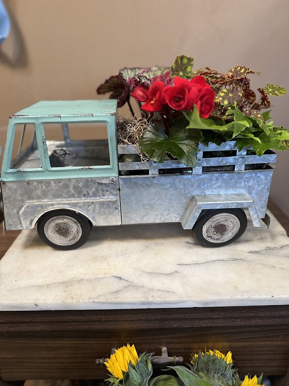 VW turuck planter
