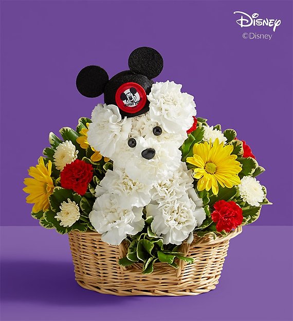 a-DOG-able&reg; Disney Mickey Mouse