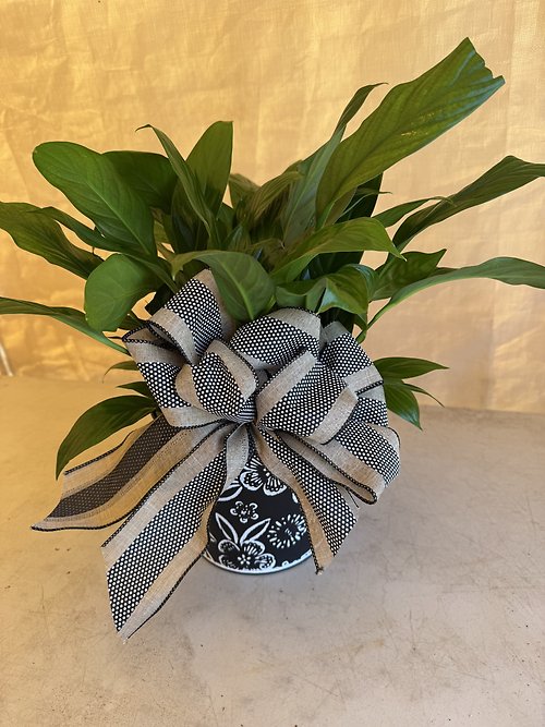 Mother\'s Day Peace Lily