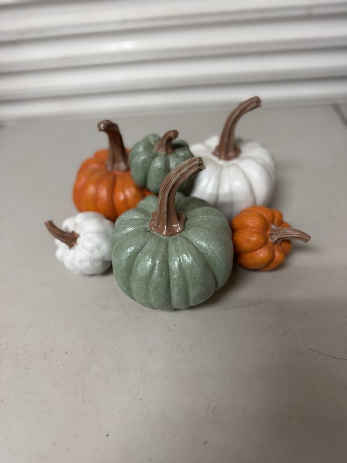 Pumpkin Bundle