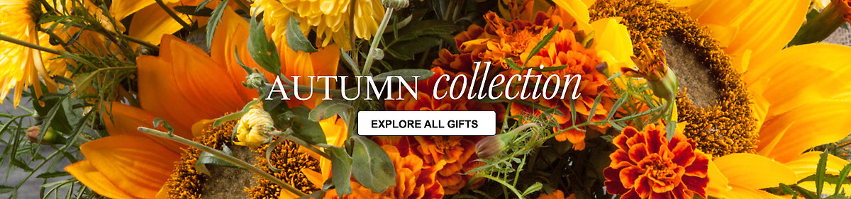 Autumn Collection
