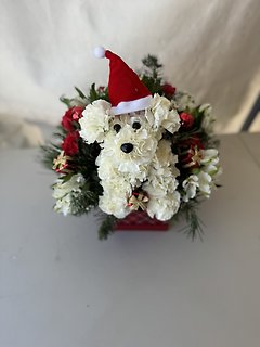 Santa Paws