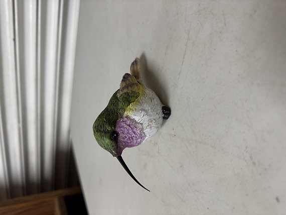 Hummingbird