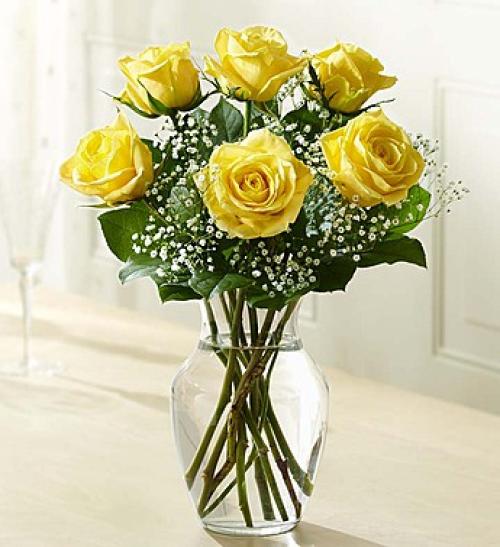 Love's Embrace&trade; Roses &ndash; Yellow