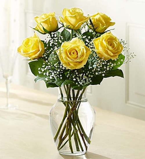 Love's Embrace&trade; Roses &ndash; Yellow