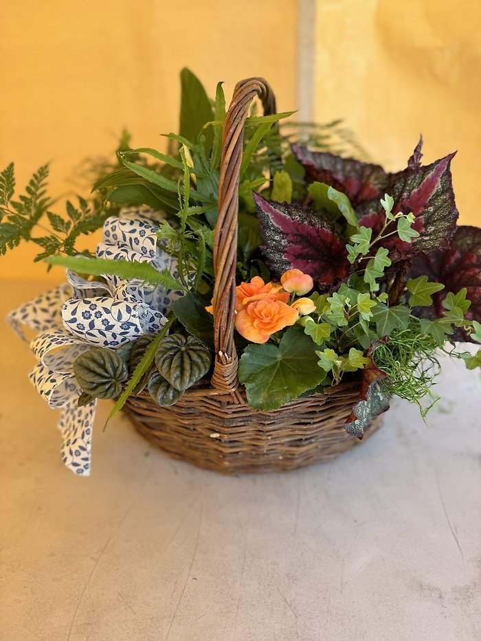 Large Basket Garden