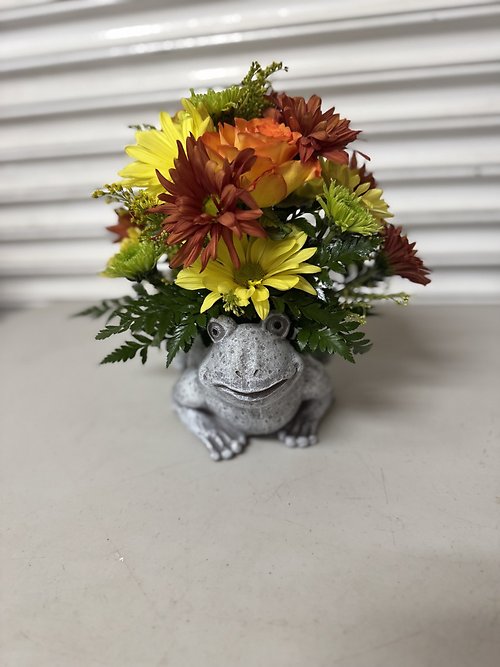 Fall Frog