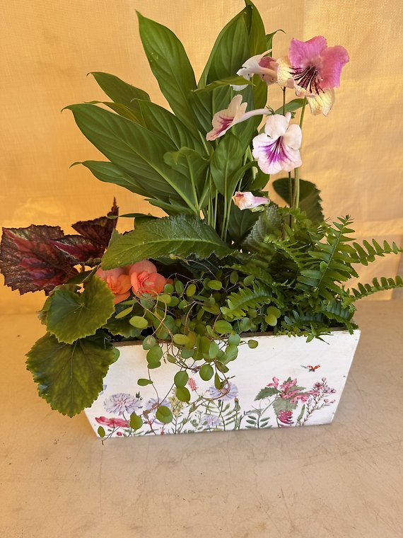 Spring Plant Garden L