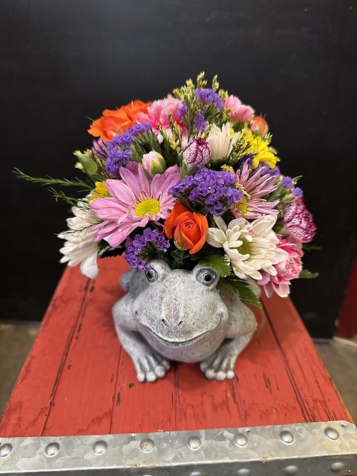 Frog Arrangement