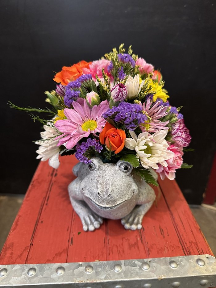 Frog Arrangement
