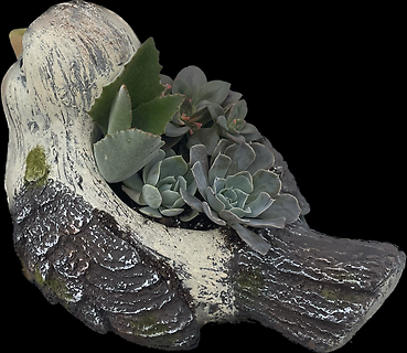 Rustic Bird Planter with Succulents