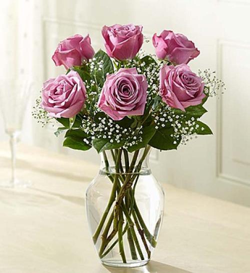 Love's Embrace&trade; Roses &ndash; Purple
