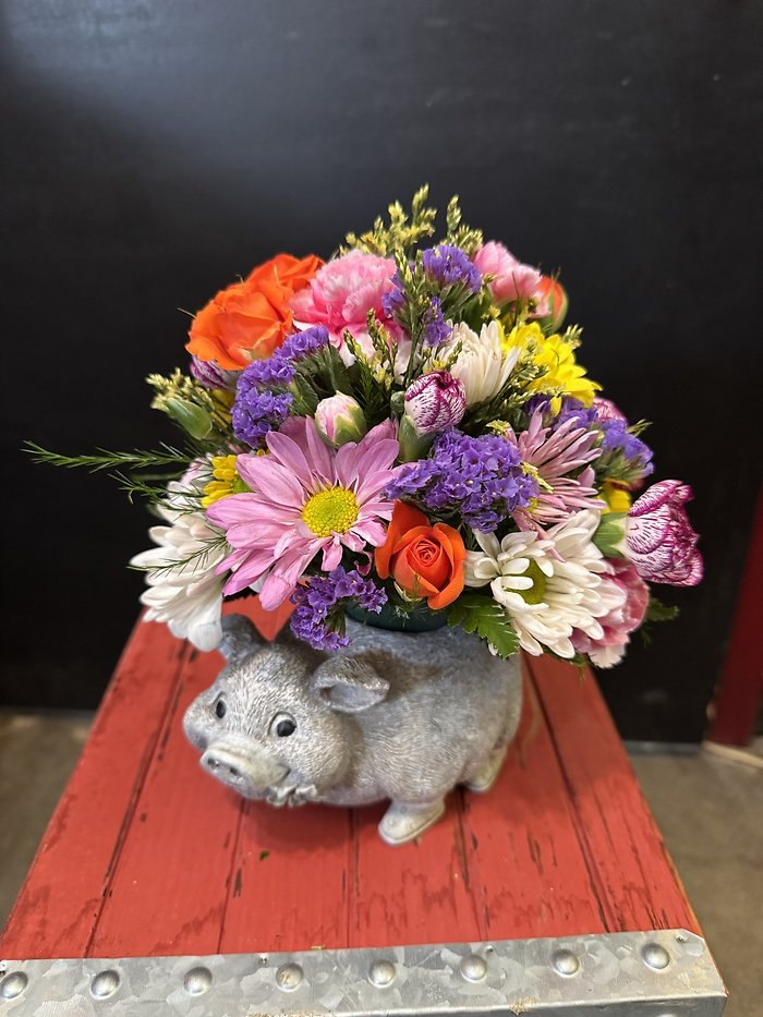 Pig arrangement