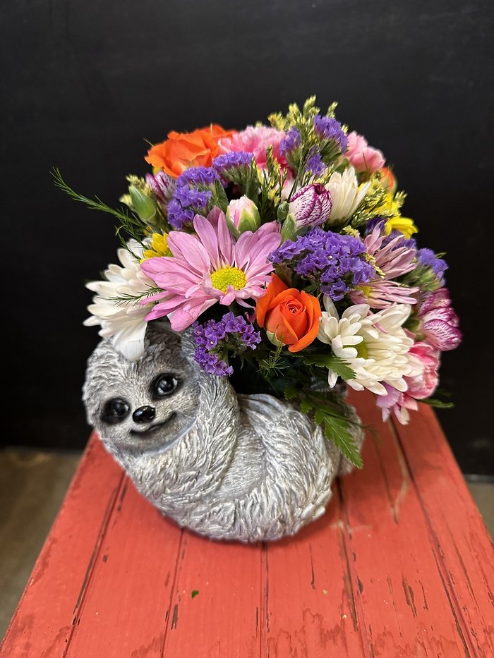 Sloth arrangement