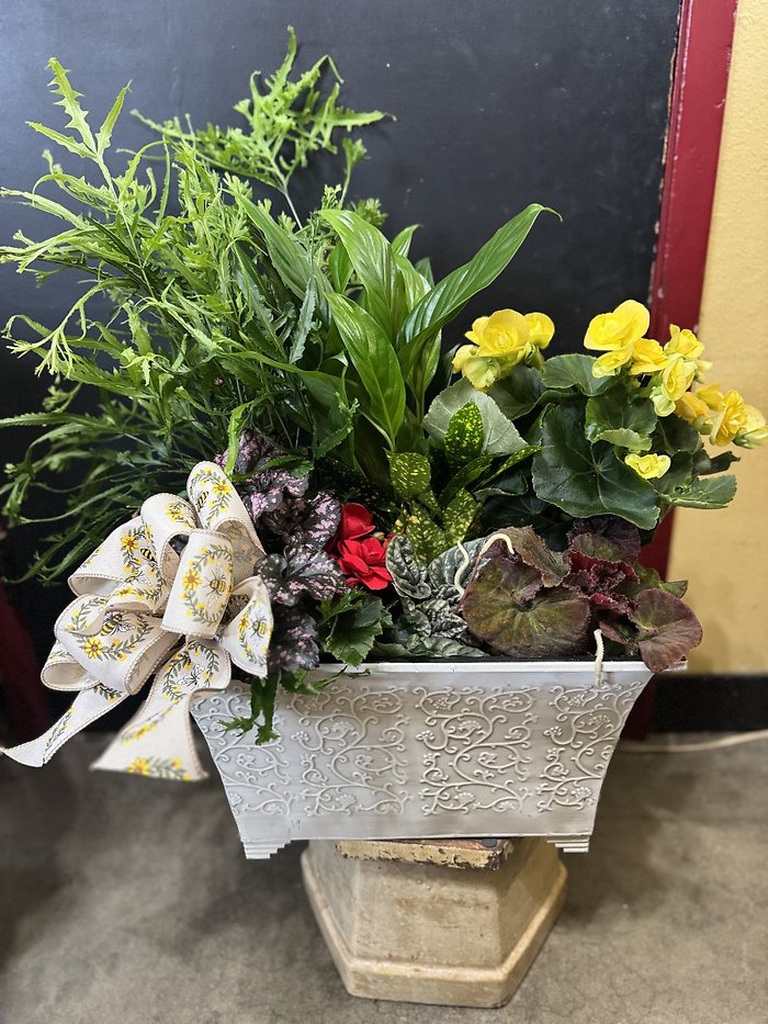 XL Spring Planter Garden