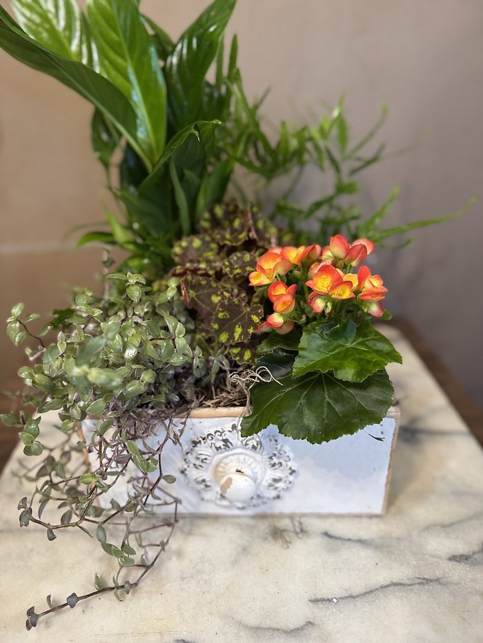 Large drawer planter