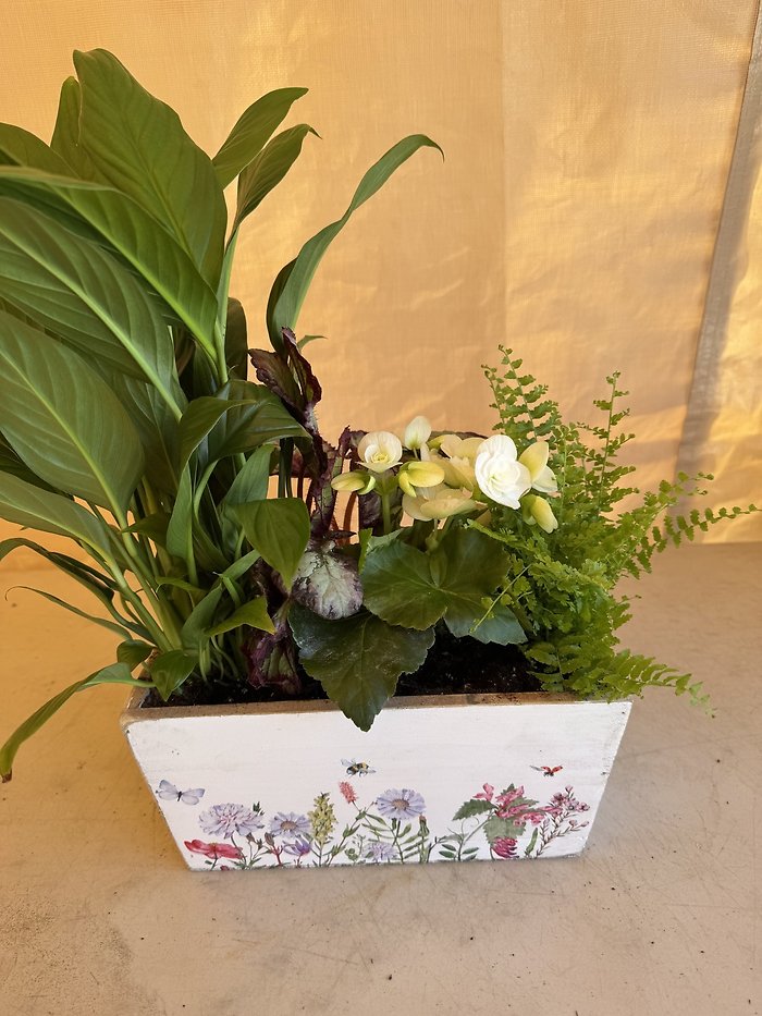 Spring Plant Garden S